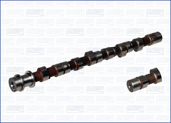 Wilmink Group WG1170919 Camshaft WG1170919: Buy near me in Poland at 2407.PL - Good price!