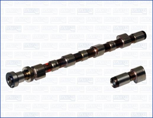 Wilmink Group WG1171530 Camshaft WG1171530: Buy near me in Poland at 2407.PL - Good price!
