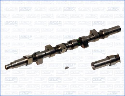 Wilmink Group WG1171254 Camshaft WG1171254: Buy near me in Poland at 2407.PL - Good price!