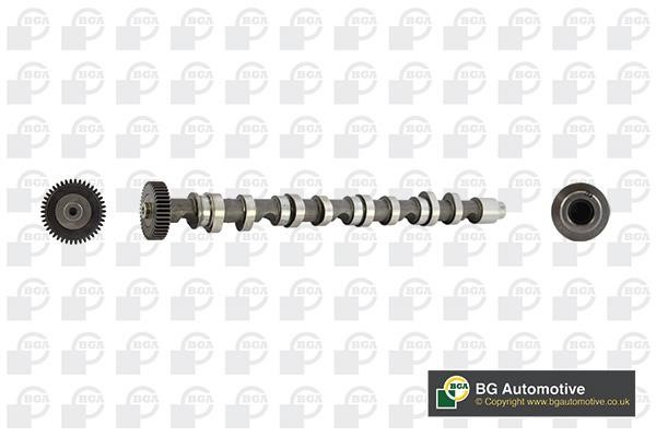 Wilmink Group WG1490642 Camshaft WG1490642: Buy near me in Poland at 2407.PL - Good price!