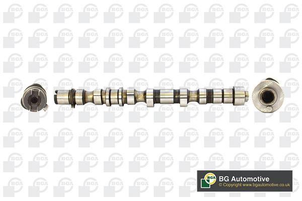 Wilmink Group WG1490455 Camshaft WG1490455: Buy near me in Poland at 2407.PL - Good price!