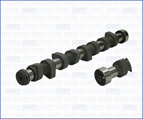 Wilmink Group WG1170906 Camshaft WG1170906: Buy near me in Poland at 2407.PL - Good price!