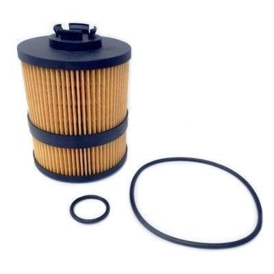 Wilmink Group WG1484198 Oil Filter WG1484198: Buy near me in Poland at 2407.PL - Good price!