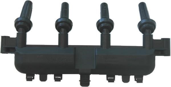 Wilmink Group WG1012155 Ignition coil WG1012155: Buy near me in Poland at 2407.PL - Good price!