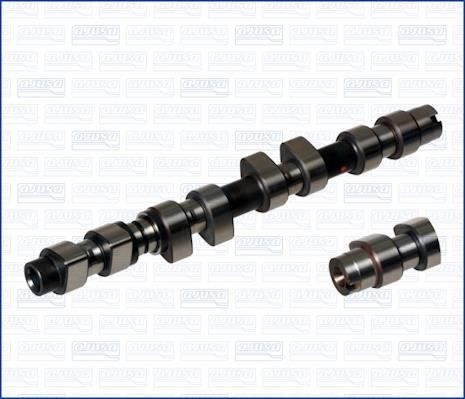 Wilmink Group WG1171311 Camshaft WG1171311: Buy near me in Poland at 2407.PL - Good price!