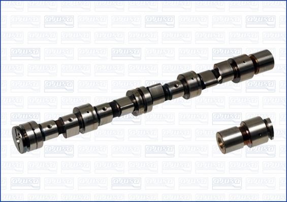 Wilmink Group WG1170831 Camshaft WG1170831: Buy near me in Poland at 2407.PL - Good price!