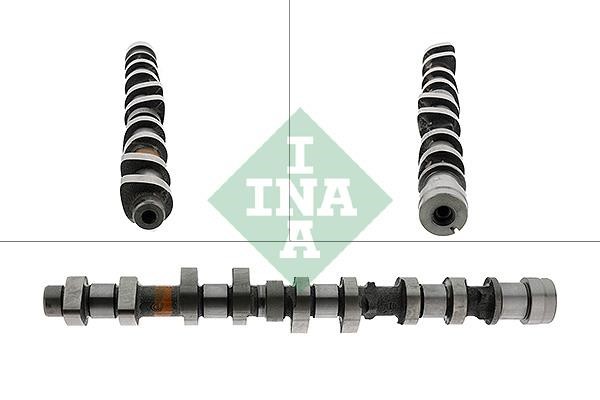Wilmink Group WG1780289 Camshaft WG1780289: Buy near me in Poland at 2407.PL - Good price!