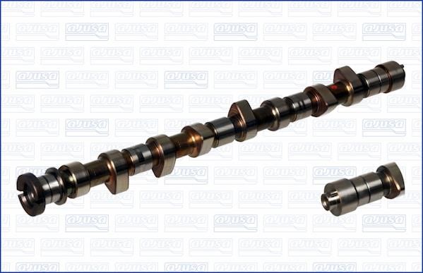 Wilmink Group WG1171228 Camshaft WG1171228: Buy near me in Poland at 2407.PL - Good price!
