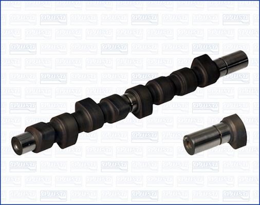 Wilmink Group WG1170981 Camshaft WG1170981: Buy near me in Poland at 2407.PL - Good price!