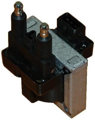 Wilmink Group WG1012212 Ignition coil WG1012212: Buy near me in Poland at 2407.PL - Good price!