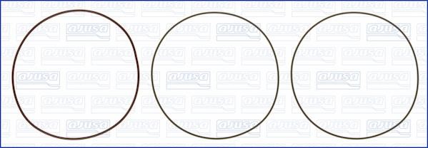 Wilmink Group WG1170259 O-rings for cylinder liners, kit WG1170259: Buy near me in Poland at 2407.PL - Good price!