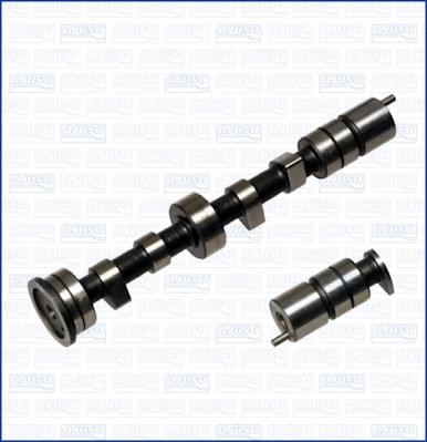 Wilmink Group WG1171405 Camshaft WG1171405: Buy near me in Poland at 2407.PL - Good price!