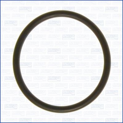 Wilmink Group WG1451828 Termostat gasket WG1451828: Buy near me in Poland at 2407.PL - Good price!