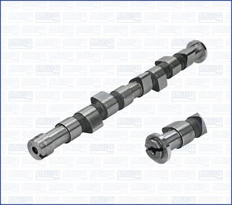 Wilmink Group WG1171033 Camshaft WG1171033: Buy near me in Poland at 2407.PL - Good price!