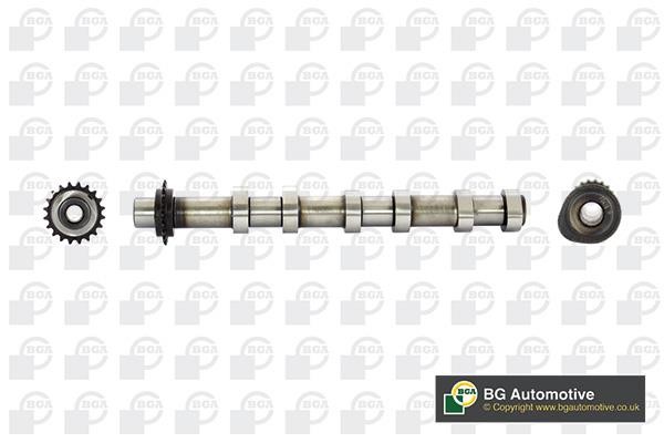 Wilmink Group WG1814299 Camshaft WG1814299: Buy near me in Poland at 2407.PL - Good price!