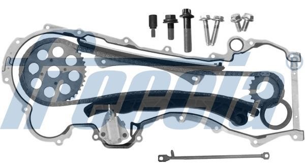 Wilmink Group WG1909971 Timing chain kit WG1909971: Buy near me in Poland at 2407.PL - Good price!