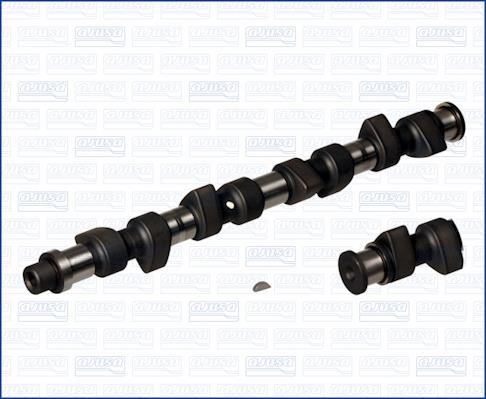 Wilmink Group WG1171018 Camshaft WG1171018: Buy near me at 2407.PL in Poland at an Affordable price!