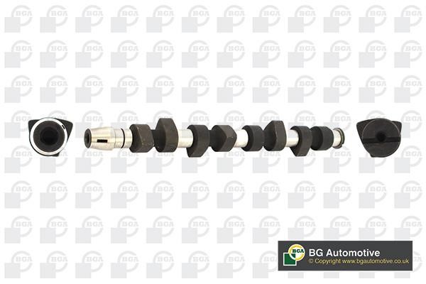 Wilmink Group WG1490487 Camshaft WG1490487: Buy near me in Poland at 2407.PL - Good price!