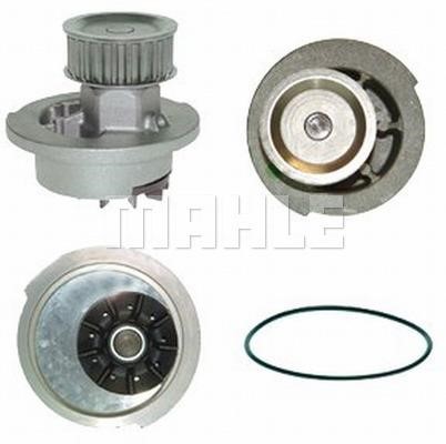 Wilmink Group WG2181290 Water pump WG2181290: Buy near me at 2407.PL in Poland at an Affordable price!