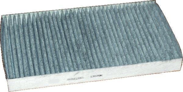 Wilmink Group WG1746936 Filter, interior air WG1746936: Buy near me in Poland at 2407.PL - Good price!