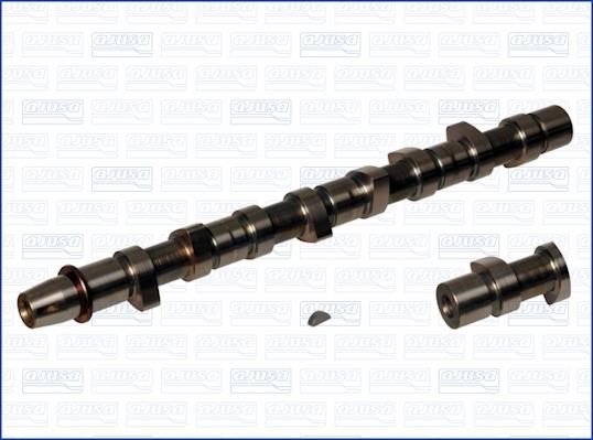Wilmink Group WG1171323 Camshaft WG1171323: Buy near me in Poland at 2407.PL - Good price!