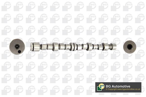 Wilmink Group WG1490431 Camshaft WG1490431: Buy near me in Poland at 2407.PL - Good price!