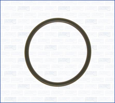 Wilmink Group WG1163659 Termostat gasket WG1163659: Buy near me in Poland at 2407.PL - Good price!