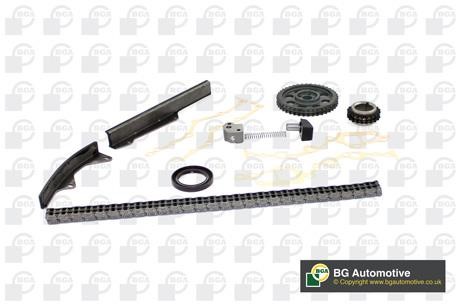 Wilmink Group WG1488253 Timing chain kit WG1488253: Buy near me in Poland at 2407.PL - Good price!