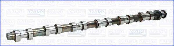 Wilmink Group WG1456370 Camshaft WG1456370: Buy near me in Poland at 2407.PL - Good price!