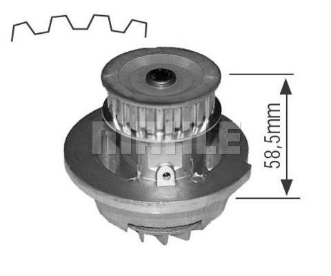 Wilmink Group WG2181578 Water pump WG2181578: Buy near me at 2407.PL in Poland at an Affordable price!