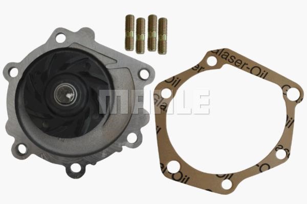 Wilmink Group WG2181490 Water pump WG2181490: Buy near me at 2407.PL in Poland at an Affordable price!