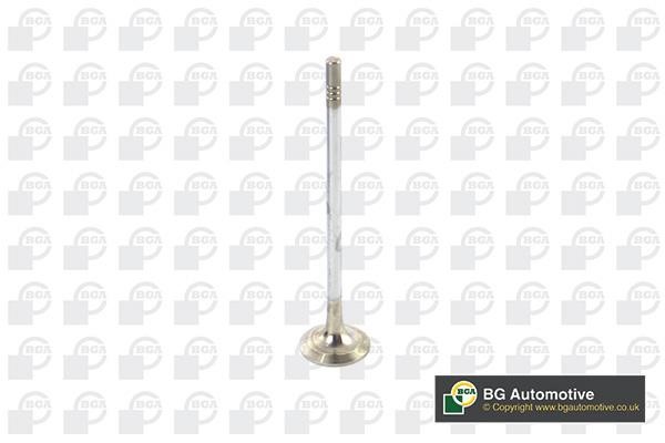Wilmink Group WG1814484 Exhaust valve WG1814484: Buy near me in Poland at 2407.PL - Good price!