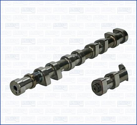 Wilmink Group WG1170753 Camshaft WG1170753: Buy near me in Poland at 2407.PL - Good price!