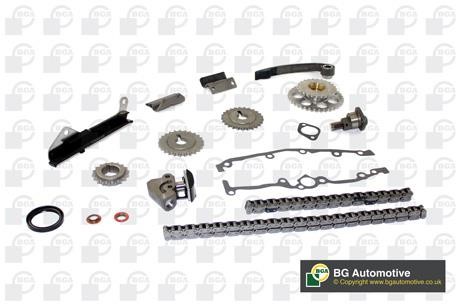 Wilmink Group WG1488179 Timing chain kit WG1488179: Buy near me in Poland at 2407.PL - Good price!
