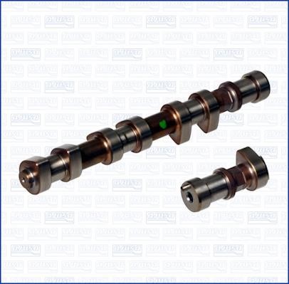 Wilmink Group WG1171039 Camshaft WG1171039: Buy near me in Poland at 2407.PL - Good price!