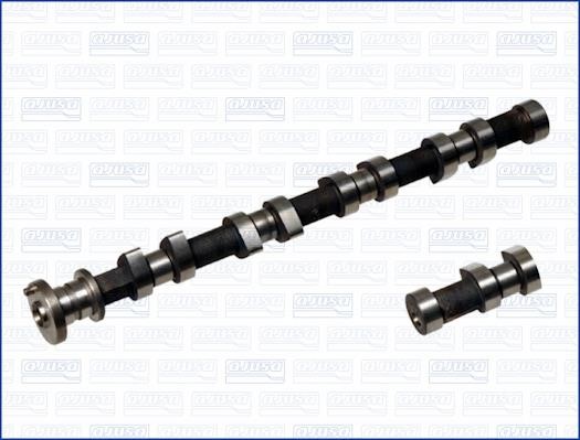Wilmink Group WG1171416 Camshaft WG1171416: Buy near me in Poland at 2407.PL - Good price!