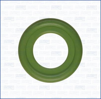 Wilmink Group WG1448248 Ring sealing WG1448248: Buy near me in Poland at 2407.PL - Good price!