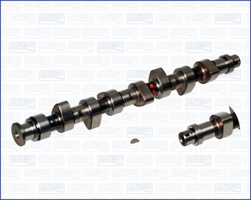 Wilmink Group WG1171019 Camshaft WG1171019: Buy near me in Poland at 2407.PL - Good price!