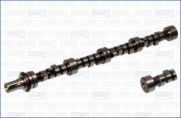 Wilmink Group WG1171547 Camshaft WG1171547: Buy near me in Poland at 2407.PL - Good price!