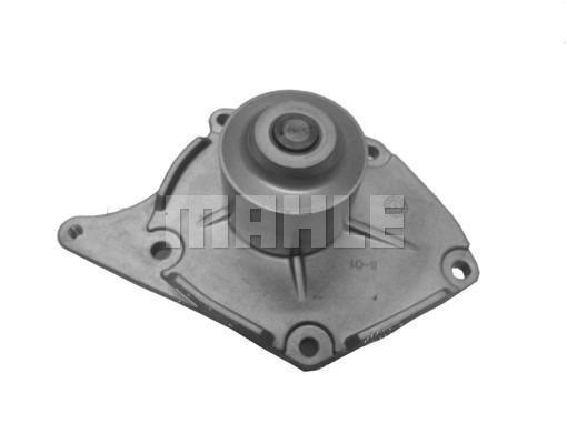 Wilmink Group WG2182030 Water pump WG2182030: Buy near me at 2407.PL in Poland at an Affordable price!