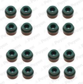 Wilmink Group WG2046477 Valve oil seals, kit WG2046477: Buy near me at 2407.PL in Poland at an Affordable price!
