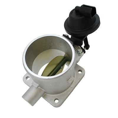 Wilmink Group WG1889569 Throttle body WG1889569: Buy near me in Poland at 2407.PL - Good price!