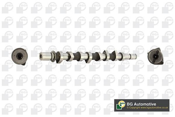 Wilmink Group WG1490454 Camshaft WG1490454: Buy near me in Poland at 2407.PL - Good price!