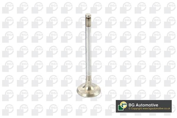 Wilmink Group WG1814452 Exhaust valve WG1814452: Buy near me in Poland at 2407.PL - Good price!