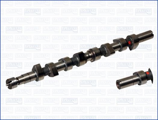 Wilmink Group WG1170841 Camshaft WG1170841: Buy near me in Poland at 2407.PL - Good price!