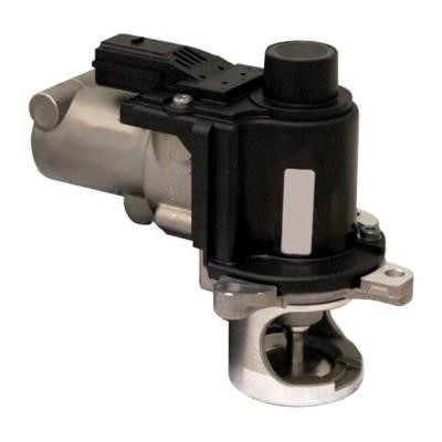 Wilmink Group WG1015344 EGR Valve WG1015344: Buy near me in Poland at 2407.PL - Good price!