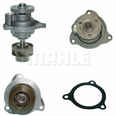 Wilmink Group WG2181294 Water pump WG2181294: Buy near me at 2407.PL in Poland at an Affordable price!