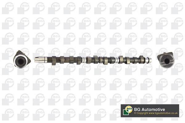 Wilmink Group WG1490471 Camshaft WG1490471: Buy near me in Poland at 2407.PL - Good price!