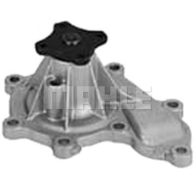 Wilmink Group WG2181571 Water pump WG2181571: Buy near me at 2407.PL in Poland at an Affordable price!