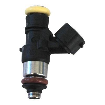 Wilmink Group WG1013757 Injector fuel WG1013757: Buy near me in Poland at 2407.PL - Good price!